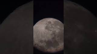 முழு நிலா |Full Moon #shorts #fullmoon #முழுநிலா #நிலா #moon