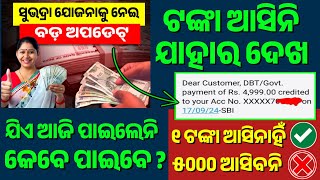 ଏହି ଭୁଲ କଲେ ଟଙ୍କା ଆସିବନି ❌ Subhadra Yojana Money Not Received || Subhadra Yojana Money Credited