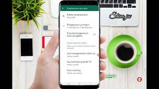 cara setting poto dan vidio wa tidak tersimpan di galeri