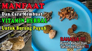 Vitamin Yang Bagus Untuk Burung Puyuh Agar Tahan Penyakit