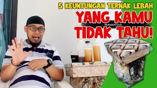 Kamu Harus Tahu! 5️⃣ Manfaat Beternak Lebah Madu Trigona Spp