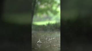 Video of heavy rain drops falling in slow motion