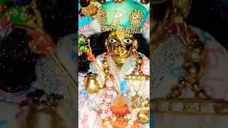 कान्हा जी के अद्भुत दर्शन 🙏, #shorts #statusvideo #youtubeshorts #laddugopal #vrindavan