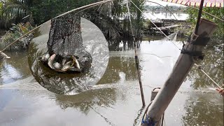 Baru 1 Jam Tangkul Ikan Uda 5KG Dapet Nya || Panen Ikan