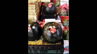 #costliest watermelon in the world #trendingshorts #japanesefood