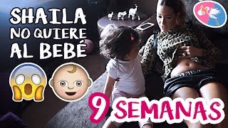 Shaila No Quiere Al Bebé | 9 Semanas De Embarazo #miembarazomolon