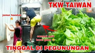 BEGINI KESEHARIAN TKW TAIWAN DAPAT JOB DI PEGUNUNGAN