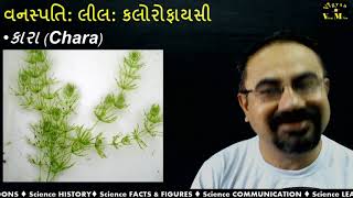 પ્રકરણ 03 વનસ્પતિ વર્ગીકરણ ભાગ 02