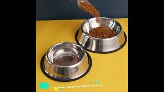 Multi-Size Regular Pet Bowl