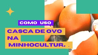 #Como utilizo a casca de ovo na minhocultura