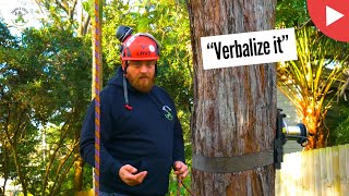 VERBALIZE IT! - SHANE'S TREES