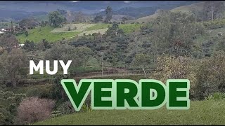 Un vídeo muy verde 💚 ✅️