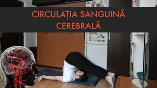 Îmbunătățiți-vă circulația sângelui către creier cu aceste 9 poziții simple