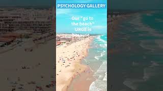 Our "go to the beach" URGE is because...😎#shorts #shortsvideo #motivation #psychology