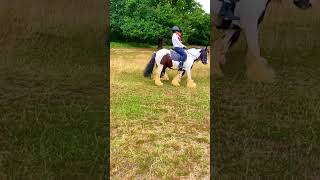 London Horse ride in Richmond park #shorts