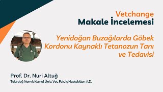 Yenidoğan buzağılarda göbek kordonu kaynaklı tetanozun tanı ve tedavisi