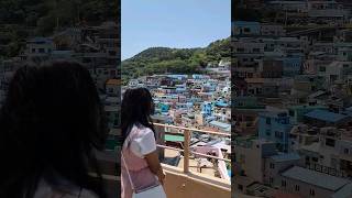 #culturevillage #trending #gamcheonvillage #busan #shorts #indianinkorea #korea #koreatourism