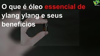 O que é óleo essencial de ylang ylang e seus benefícios