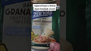 GOTOVA JE PASTA SA BOSILJKOM OD NAJJACI KALUDJERI I SA GRANA PADANOM JAKE KLOPE