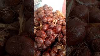 Salak jumbo spek terbaik #shorts