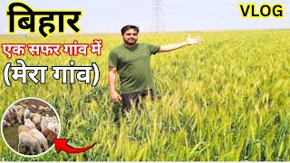 Village In Bihar 🔥 | VLOG  || Khet In Bihar Village || 🔥 After Long Time In Village || Village Life