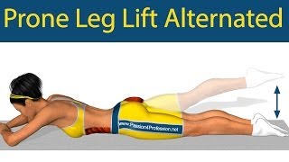 Prone Leg Lift Alternated