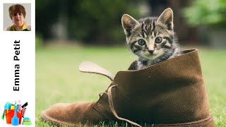 Découvrez Comment Éliminer l'Odeur d'Urine de Chat de Vos Chaussures en 5 Étapes Simples!