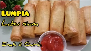 Resep Lumpia Labu Siam untuk menu buka puasa, pasti jadi rebutan#gorengan#menubukapuasa #menusahur