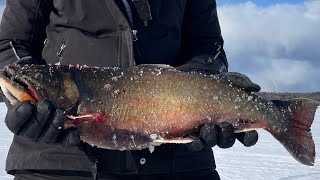 Big mistake, massive brook trout #icefishing #maine