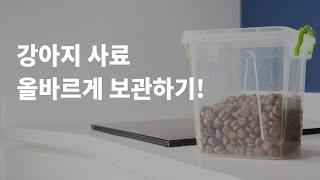 더운 여름, 강아지사료 이렇게 보관하세요!