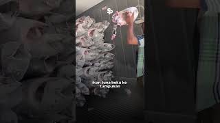 Ternyata seperti ini cara mengeluarkan ikan tuna beku dari dalam kontainer 😎😎 #shorts #shortvideo