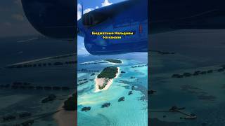 #Shorts Про жизнь на Мальдивах🌴 #maldives #мальдивы #tiktok #тикток #словопацана #shorstvideo