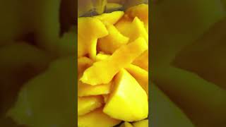 Harvesting Mango #mango #harvesting #mangofruits