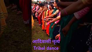 The Spectacular Dance of India’s Adivasi Tribes #reel  #worldtribalday #folkdance #traditionaldance