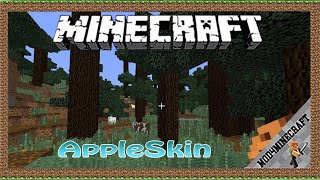 AppleSkin Mod 1.18.1/1.16.5/1.12.2 & Tutorial Downloading And Installing For Minecraft