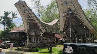 Berwisata DISINI sangat indah TORAJA MAELO'