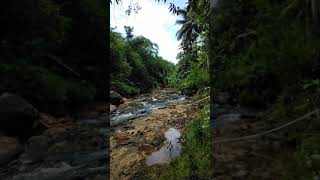 KESEJUKAN SUNGAI || DAMAI DIHATI