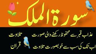 سورہ ملک# تلاوت #تلاوت_قرآن_پاک |قرآن _کریم #سورہ ملک #تلاوت_قرآن_پاک