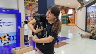 Perros del Centro de Adopciones tendrán un nuevo hogar