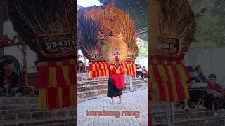 FULL SOLAH PEMBARONG DADAK MERAK REOG PONOROGO HUT DESA KALISAT #dadakmerak #reogponorogo