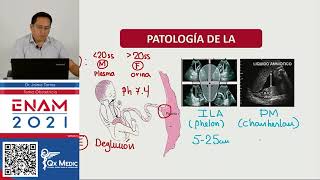 Fundamentos teoricos en obstetricia-  Parte II