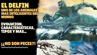 DELFINES DE LOS ANIMALES MAS INTELIGENTES DEL PLANETA (#evolución , #curiosidades y más)...