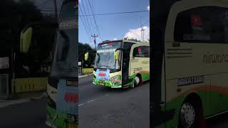 Full Basuri Konvoi Bus Cortas #busmania #trending #basuri #basuri