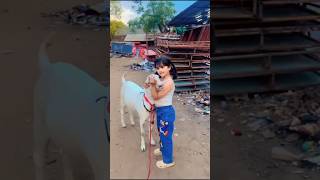 Qurbaani ka Islam me he, martaba afzal #shortsviral #islamicstatus #islamicshorts #shorts #viral