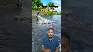 এত মাছ কোথা থেকে এলো 😱 #fishing #shorts #tiktok