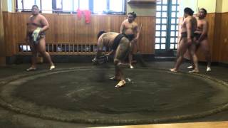 SUMO practice in no joke!