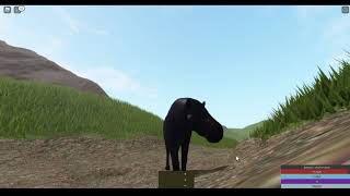 Roblox Cenozoic Survival Daeodon Gameplay