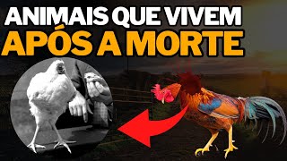 7 Animais Que Vivem Após a Morte