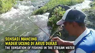 Sensasi Mancing Wader Uceng Di Arus Deras / The Sensation Of Fishing in The Stream Water