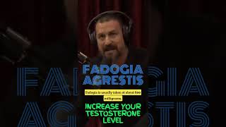 Increase testosterone levels: tongkat ali & fadogia agrestis | Andrew Huberman, Joe Rogan